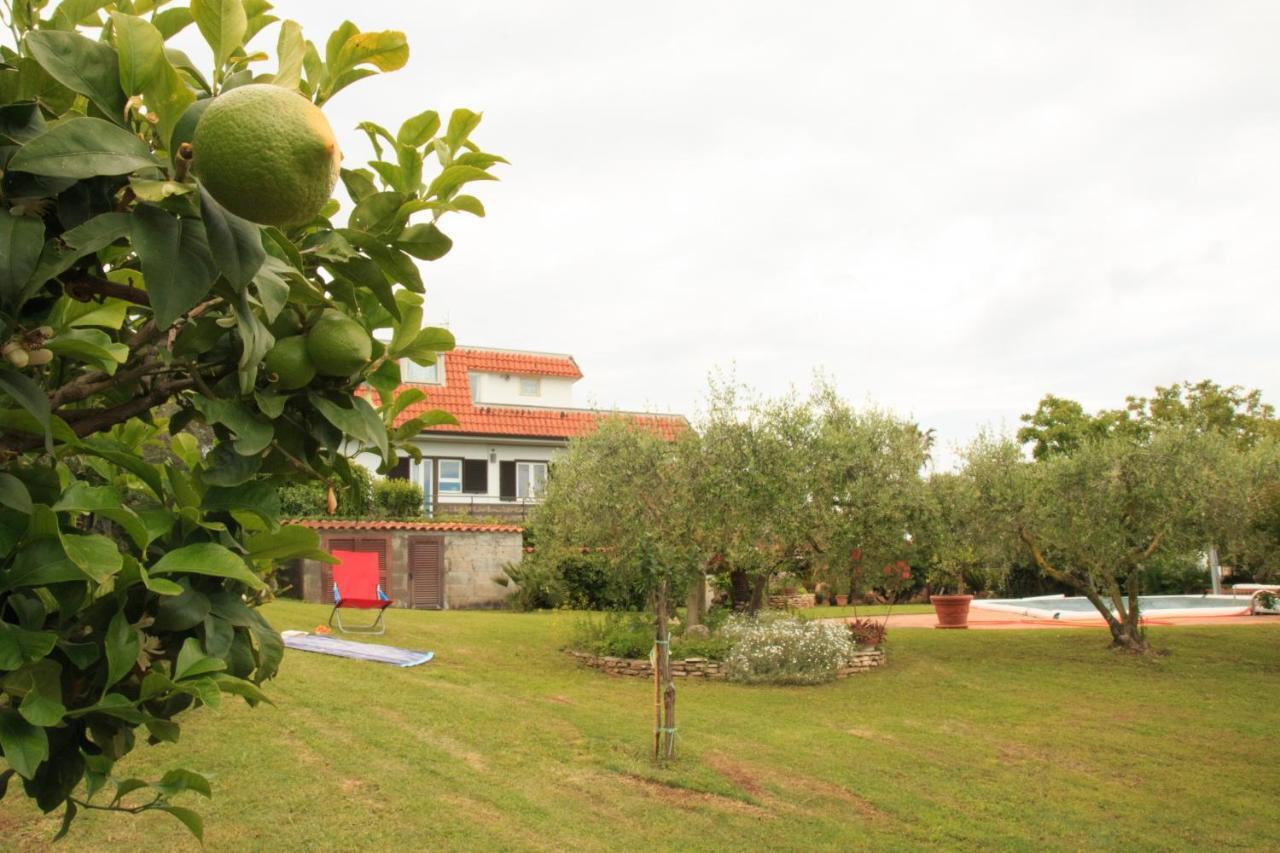 A Casa Di Iole Apartment Cogna Exterior foto